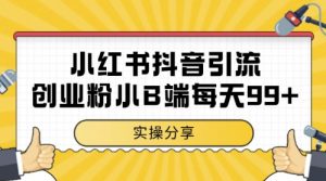 小红书抖音创业粉，小B端粉自热，日引99+的一个玩法【揭秘】-壹浩聊项目