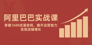 阿里巴巴实战课:掌握1688流量密码,提升运营能力,实现店铺增长-壹浩聊项目