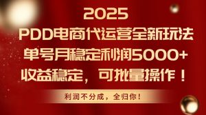 2025PDD电商代运营全新玩法，单号月稳定利润5000+，收益稳定，可批量操作-壹浩聊项目