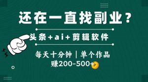 头条全新玩发加持软件搬视频，每天十分钟，单个作品收入200-500左右-壹浩聊项目