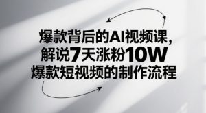 爆款背后的AI视频课，解说7天涨粉10W爆款短视频的制作流程-壹浩聊项目