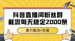 抖音直播间粉丝群暴力截流，一台电脑每天稳定2000条数据，暴力截流+实操 【揭秘】-壹浩聊项目