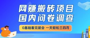 网创搬砖项目，国内问卷调查，小白轻松上手，一天三四张的也不难，干就完了【揭秘】-壹浩聊项目