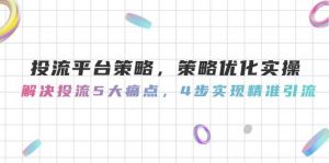 投流平台策略，策略优化实操，解决投流5大痛点，4步实现精准引流-壹浩聊项目