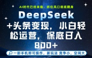 DeepSeek+头条变现，保姆级教学，小白轻松上手，日入8张+【揭秘】-壹浩聊项目