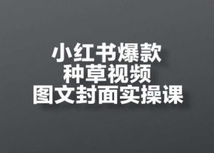 小红书爆款种草视频图文封面实操课,开店、选品、引流、变现全流程-壹浩聊项目