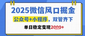 2025微信风口掘金，公众号+小程序双管齐下，单日稳定变现1k+【揭秘】-壹浩聊项目