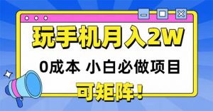 玩玩手机月入20000+,0成本小白必做项目,可矩阵-壹浩聊项目