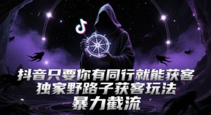 抖音只要你有同行就能获客，独家野路子获客玩法，暴力截流【揭秘】-壹浩聊项目