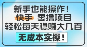 新手也能操作,快手零撸挣米,轻松每天挣2-5张,完全无成本-壹浩聊项目