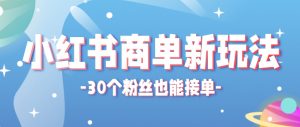 小红书商单新玩法，30个粉丝也能接单，一个月接三单赚了150+！适合新手小白操作-壹浩聊项目