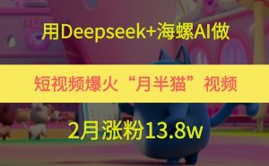 用Deepseek+海螺AI做短视频爆火“月半猫”视频，2月涨粉13.8w-壹浩聊项目