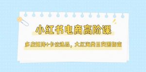 小红书电商高阶课,多店矩阵+卡位选品,大红海类目突围指南(更新5月)-壹浩聊项目