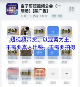 宝子哥头部团队短视频带货,以混剪为主,不需要真人出镜,不需要拍摄【更新】-壹浩聊项目