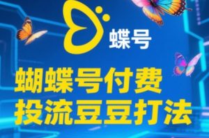 渔财老师·2025蝴蝶号付费投流豆豆打法-壹浩聊项目