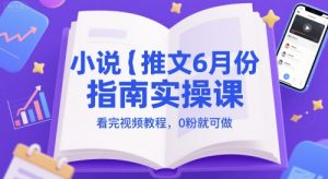 小说推文6月份指南实操课,看完视频教程,0粉就可做-壹浩聊项目