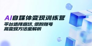 AI自媒体变现训练营,平台选择避坑,低粉账号高变现方法全解析-壹浩聊项目