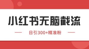小红书截流同行客源，独家野路子获客玩法 日引200+暴力获客【揭秘】-壹浩聊项目
