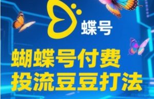 2025蝴蝶号付费投流豆豆打法，助新手快速掌握付费流量撬动自然流的核心玩法-壹浩聊项目