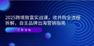 2025跨境致富实战课,收并购全流程拆解,自主品牌出海营销指南-壹浩聊项目