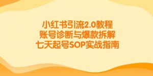 小红书引流2.0教程，账号诊断与爆款拆解，七天起号SOP实战指南-壹浩聊项目