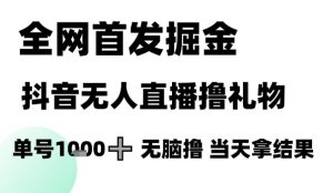 全网首发掘金抖音无人直播撸礼物，单号1k +无脑撸，当天拿结果【揭秘】-壹浩聊项目