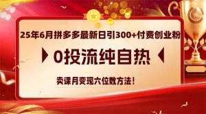 25年6月拼多多最新日引300+付费创业粉,0投流纯自热 卖课月变现六位数方法-壹浩聊项目