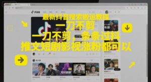 最新抖音搜索搬运教程，一刀不剪，条条过抖，推文短剧影视涨粉都可以-壹浩聊项目