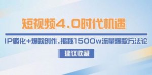 短视频4.0时代机遇:IP孵化+爆款创作,揭秘1500w流量爆款方法论-壹浩聊项目
