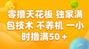 零撸天花板，独家满包技术 不养机 一小时撸满50+【揭秘】-壹浩聊项目