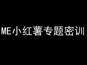 ME小红薯专题密训-小红书电商教程-壹浩聊项目