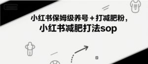 小红书保姆级养号+打减肥粉，小红书减肥打法sop-壹浩聊项目