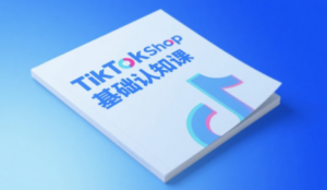 梨子姐姐·TikTok小店基础认知课-壹浩聊项目
