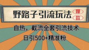 2024首发野路子引流玩法截流自热全平台打法,全自动引流【日引2000+精准客户】-壹浩聊项目