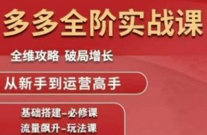 拼多多全阶实战课程,全维攻略,破局增长,从新手到运营高手-壹浩聊项目