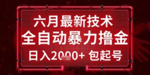 六月最新技术全自动暴力撸金,稳定日入2k+包起号,长期稳定【揭秘】-壹浩聊项目
