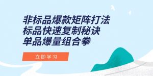 非标品爆款矩阵打法,标品快速复制秘诀,单品爆量组合拳-壹浩聊项目
