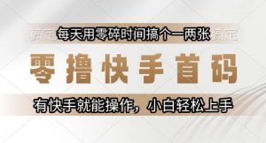 零撸快手首码，每天用零碎时间搞个一两张，有快手就能操作小白轻松上手【揭秘】-壹浩聊项目