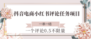 抖音电商小红书评论任务项目，一个评论0.5，一单一结 不限量-壹浩聊项目