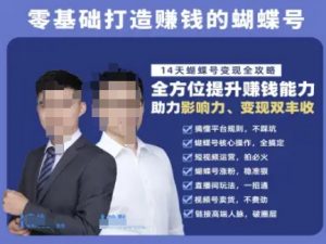 蝴蝶号专栏-视频号运营教程,零基础打造挣钱的蝴蝶号,14天蝴蝶号变现全攻略-壹浩聊项目