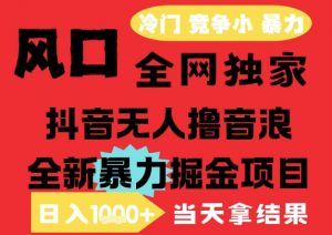 25年6月高爆抖音无人直播最新撸音浪掘金项目,解放双手小白可做,无脑日入1k+,门槛低【揭秘】-壹浩聊项目