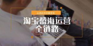淘宝蓝海运营全链路,从选品到流量变现,小类目突围完整方案-壹浩聊项目