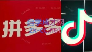 老陶电商·拼多多+抖音小店无货源开店(更新6月)-壹浩聊项目