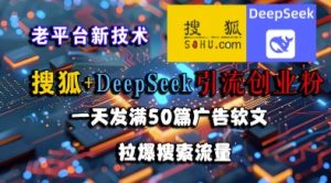 搜狐+DeepSeek引流创业粉,老平台新技术,一天发满50篇广告软文,拉爆搜索流量-壹浩聊项目