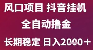 风口项目,六月最新玩法抖音无人挂G,全自动撸金,长期稳定 日入2k+【揭秘】-壹浩聊项目