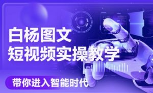 白杨老师·Ai图文短视频实操课(更新6月)-壹浩聊项目