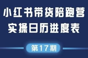 盗坤·抖音小红书视频号短视频带货与直播变现(11-17期)-壹浩聊项目