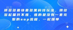 拼多多最快最多黑科技玩法,拼多多起量并不难,难的是没有一套完整的sop流程,一起爆单(更新6月)-壹浩聊项目