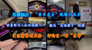 凡视知音:“香车美女”视频引流术,依靠鲜为人知的视频入口,搬运“高端圈子”视频,引流精准创业粉,评论区一堆“求带”-壹浩聊项目