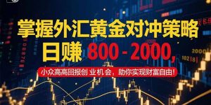 掌握外汇黄金对冲策略,日赚 800 – 2000,小众高回报创业机会,助你实…-壹浩聊项目